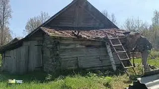 Всему свое время