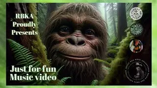 Just for fun airgun music video.No shooting sorry