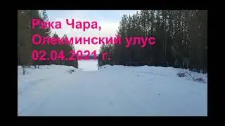 Река Чара. 02.04.2021 г.