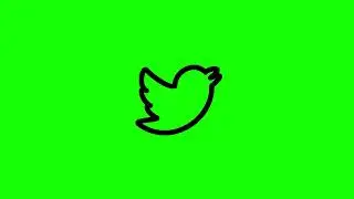 twitter icon green screen | animated icon green screen