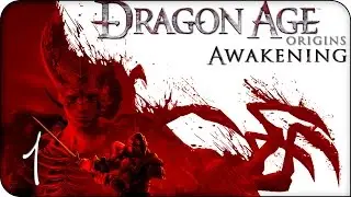 Прохождение Dragon Age: Origins - Пробуждение (Awakening) #1