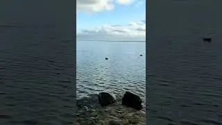Где-то на юге ))
