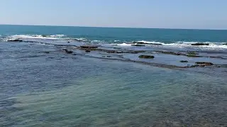 Рыбный рынок . Яффо. Израиль.