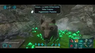 Artefacto el Cazador (Hunter) Ark Mobile - Guia  Camino fácil.