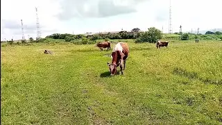 Жить в деревне и не зависеть ни от кого, реально ли?