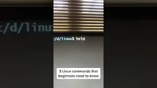 3 Must Know Beginner Linux Commands! 