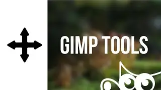 GIMP | The Move Tool