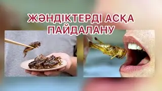 ЖӘНДІК ЖЕГЕН ЖҰРТ
