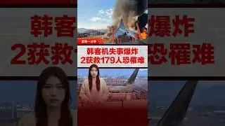 韩国客机冲出跑道撞围栏 2获救179人恐罹难