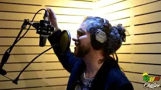 REGGAE SESSIONS VOL.7: VIBRACIÓN ELEVA