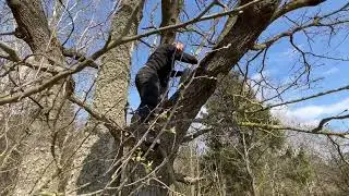Залазим на дерево с шиной