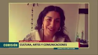 Exposición  Cámara de Diputados , Junio del 2020.Plena Pandemia.