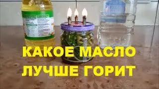 Universal Oil Lamp Which Oil is Best to Use?