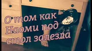 Реакция на гача-срачи в Крипипасте - часть 3 ★ Крипипаста