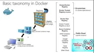 Basic taxonomy in Docker