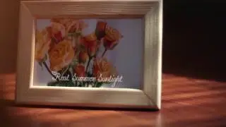 After Effects: Sweet Home Frames by Plaire - VideoHive