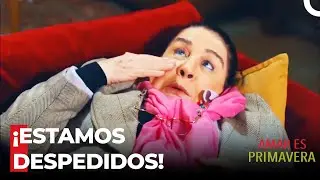 ¡El Abuelo Y La Abuela Han Sido Expulsados! - Amar Es Primavera