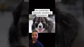 Things you didn't know about 
