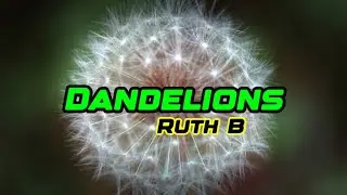 Dandelions-Ruth B -Official Music Video 2024.Ncs Artlist.#Englishsong#song