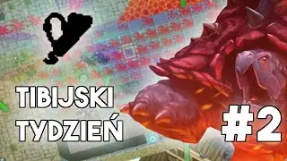 [PL] Tibia - Tibijski Tydzień | Dobra passa trwa? #2