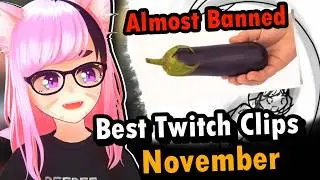 Not Sharing with Chat Anymore  -《 Best Twitch Clips November 》