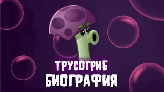 Биография Трусогриба