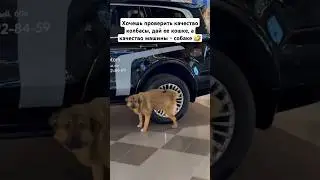 лучший обзор на Tank 500