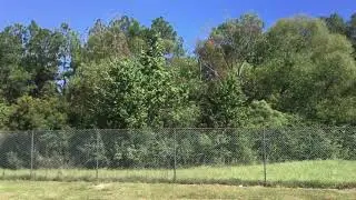 Touching grass