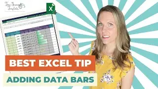 HR Analytics with Conditional Formatting in Excel Color Coding, Progress Bar in Excel Cell