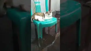 bencana banjir Kotawaringin barat Kalimantan tengah