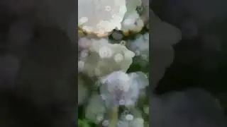 Любовь