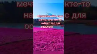цитата дня#бизнес #автоматизация #интенсив #подъём #битрикс24 #помощник # мотивация