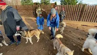 Хаски 2021