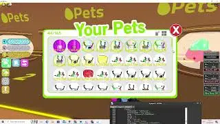 Pet Simulator (1) Script (PASTEBIN)