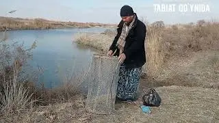 Gajava savatda baliq 🐟 tutish.