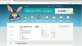 Hướng Dẫn Fake IP với Antidetect và Proxifier