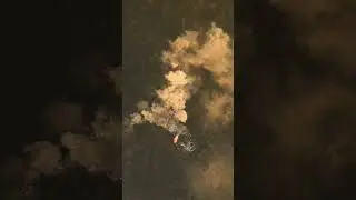 Видри.Драгоманското блато.