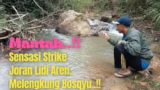 JORAN LIDI AREN, MANTAB SENSASINYA STRIKE WADER BABONNYA