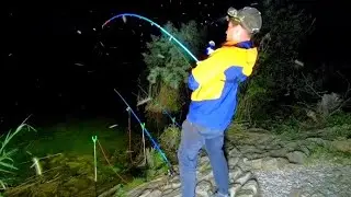 ОНИ ЖИВУТ ПОД КОРАБЛЯМИ !!! СОМ. ДОНКИ. НОЧЬ! РЫБАЛКА НА СОМА С НОЧËВКОЙ