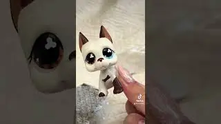 #lps #littlestpetshop