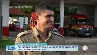 BOMBEIROS EM AÇÃO: Bombeiros militares são chamados após populares encontrarem uma cobra