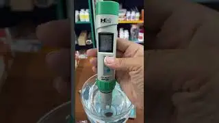 Корал Майн   живая вода  360p