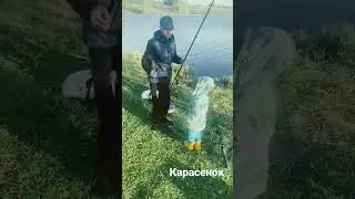 12 мая 2024 г.