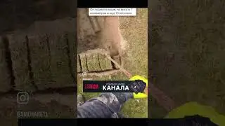 Какая-то шутка