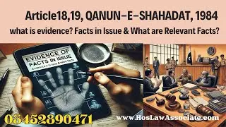 Facts in Issue, Relevant Facts, Article 18, 19 QSO