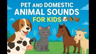 Pet and Domestic Animal Sounds for Kids 🐶🐴🐔 | Learn Animal Names and Sounds | AK Animations