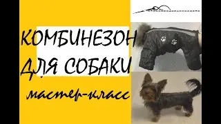 Легкий в пошиве зимний комбинезон для собаки. Построение выкройки.