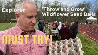‘Throw and Grow’ Wildflower Seed Balls for the Bees!
