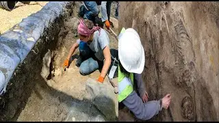 Vampiric  burial discovered in Bishop’s former palace
