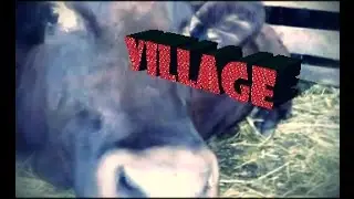 Village.